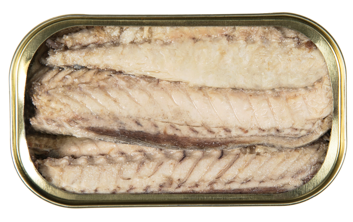 Fregattenmakrele in Olivenöl, 266 gr. Gourmet