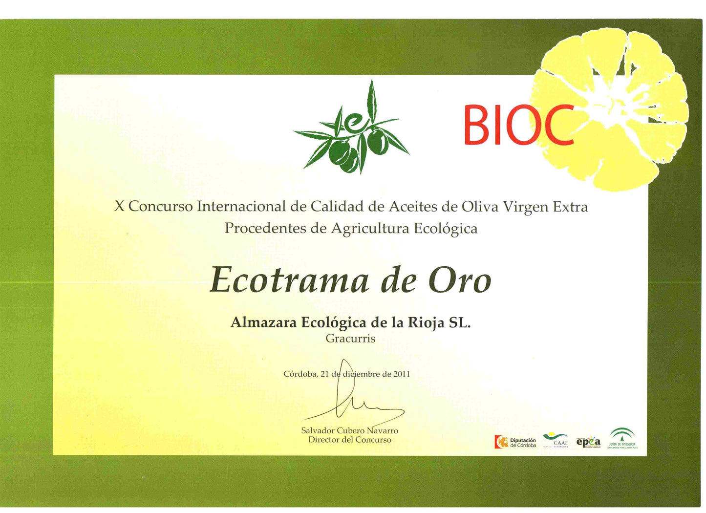 Bio Extra Natives Olivenöl Arbequina 250 ml. Glas